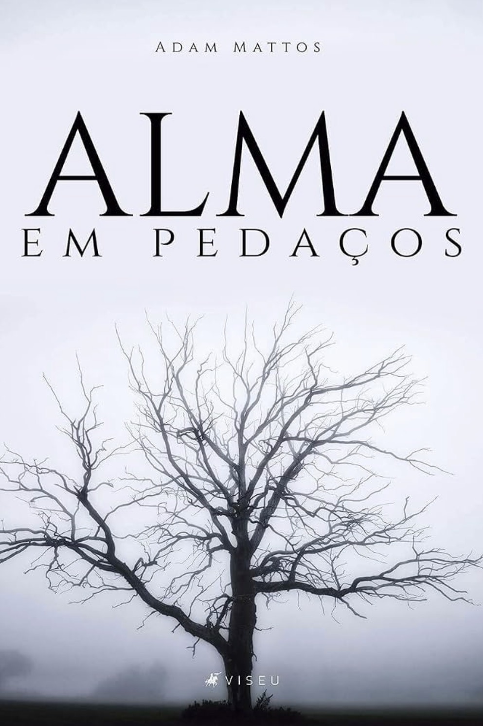 Capa de Alma em Pedaços